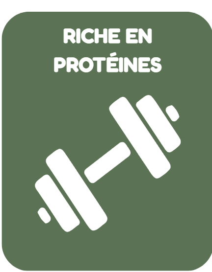Riche en protéines