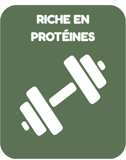 Riche en protéines