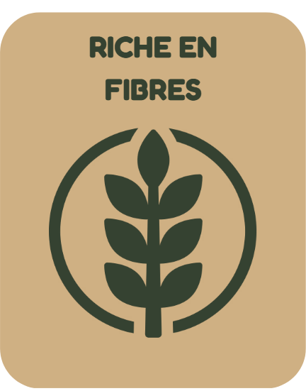 Riche en fibres